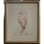 Print of barn owl by James Hodges. Signed in pencil by artist. 11” x 15”, frame 19.5” x 23.5”.