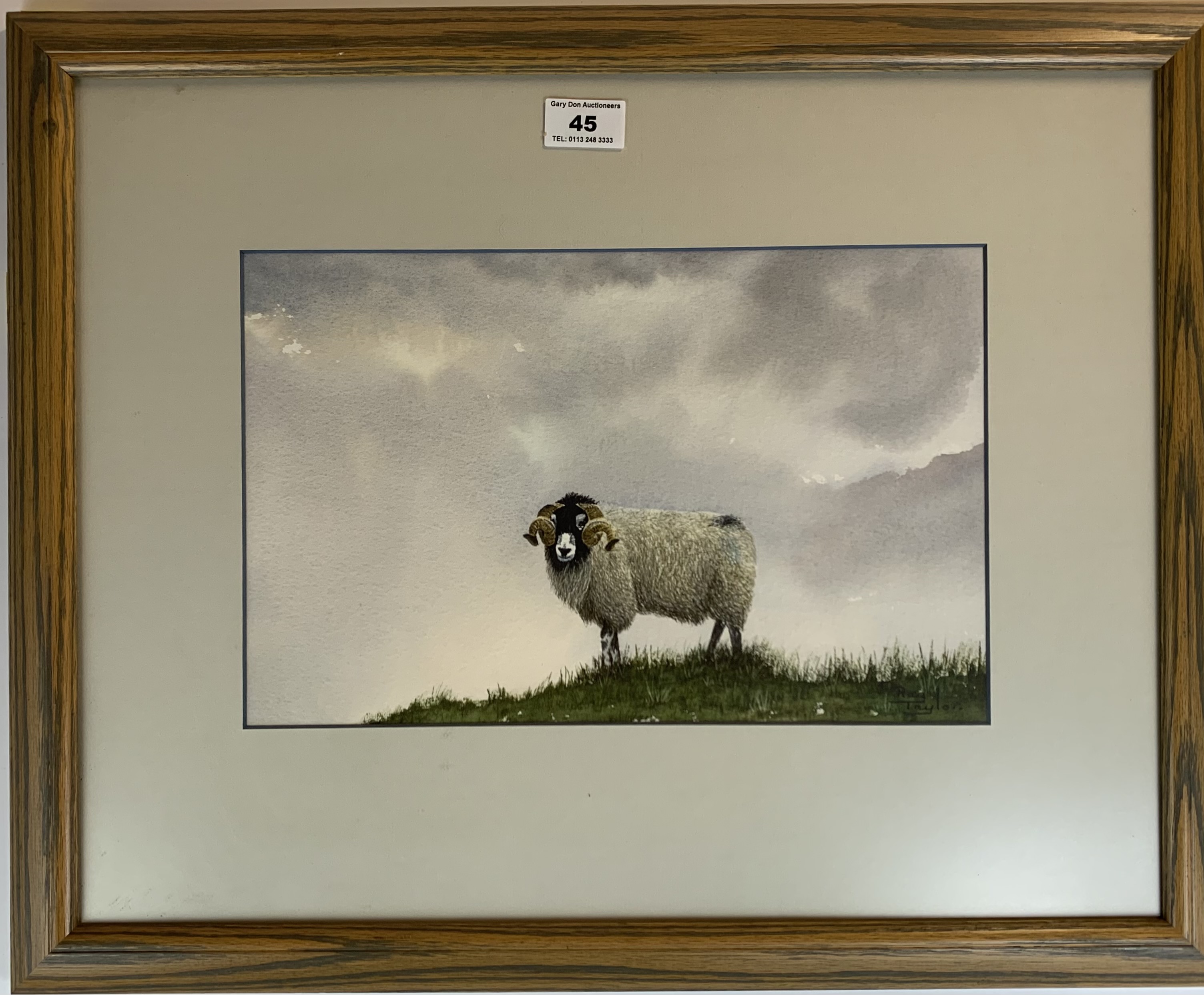 Watercolour Of sheep by Taylor. 12.5” x 8”, frame 21” x 17”. Good condition