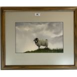 Watercolour Of sheep by Taylor. 12.5” x 8”, frame 21” x 17”. Good condition
