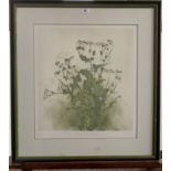 Etching “Feverfew and Chamomile” by John Henn. Limited Edition 19/75. 16.5” x 18”, frame 25.75” x