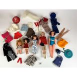 5 plastic dolls and assorted clothes