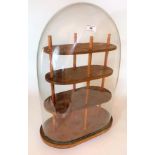 Large wooden display stand under glass dome, 24” high x 15” wide