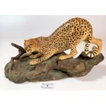 Beswick leopard on rocks, 12” long x 6” wide. No damage