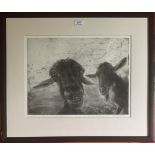 Chris Salmon limited edition print, Goats, signed and numbered 29/100. Image 16” x 12”, frame 24”