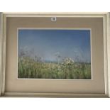 Watercolour “Elderflower and Summer Flowers” by Janice Hingley. Image 18.5” x 12.75”, frame 27.5”