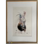 Watercolour ‘Cock & Hen II’ by R. Keeton, image 15.5” x 24”, frame 25” x 34”