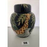 Blue Moorcroft wild animal pattern lidded ginger jar 6.5” high