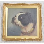 G* Brownlow (19th century) - a study of an English bull dog wearing a broad collar with metal