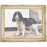 Campbell T. Trotman (20th/21st century) - 'Watha' study of a spaniel signed with the artist's