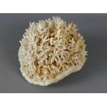 Large antique white branch sea coral specimen, approx 7.5" wide, 7" tall, 1.76kg