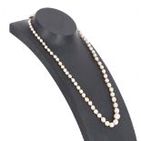 Cultured pearl single row necklace with a yellow metal clasp, the pearls 3mm-8mm, 11gm, 16" long