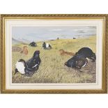 John Hutchinson - male and female blackcock in a Highland landscape, signed, watercolour and gouache