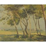 Continental School (20th century) - summer landscape with trees in the foreground, cottages and a