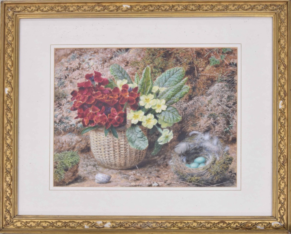 John Sherrin (1819-1896) - still life of primroses and other flowers in a basket with a feathered