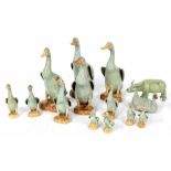 Collection of twelve Chinese porcelain celadon ducks, 20th century, some with impressed marks