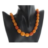 Graduated amber bead necklace, 60.6gm, the beads from 7mm to 20mm wide, 30" long