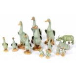 Collection of thirteen Chinese porcelain celadon ducks, some with impressed marks underside, tallest
