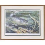 After Alan B. Hayman (20th/21st century) - 'On the turn', a salmon swimming in the river, signed