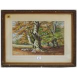 After Henry Jutsum (19th century) - a woodland scene with a beech tree in the foreground, signed,