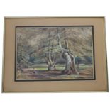 **Banks (20th century) - woodland scene, watercolour heightened with body colour, 12.25" x 19.5" *