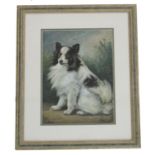 G* R* Minett - study of a seated collie dog, signed and dated 1923, watercolour, 11" x 8"