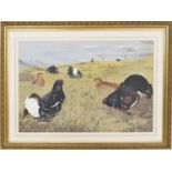 John Hutchinson - male and female blackcock in a Highland landscape, signed, watercolour and gouache