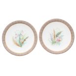 Pair of Royal Worcester porcelain hand painted plates, centrally decorated with sprays of wild