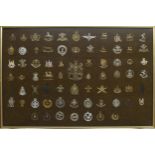 Military Regimental cap badges - large collection of seventy-two examples mounted in a display