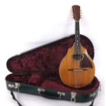 Rare and unusual cylinder back mandolin by and labelled Vega, the Vega Co. Boston, Mass. U.S.A, with