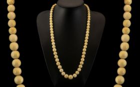 A Wonderful 19th Century Graduated Ivory Bead Necklace, Very Tactile and of Pleasing Proportions,