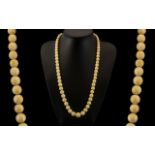 A Wonderful 19th Century Graduated Ivory Bead Necklace, Very Tactile and of Pleasing Proportions,