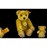 Steiff 1909 Classic Teddy Bear.