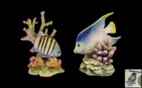 Royal Worcester Superb Pair of Hand Painted Porcelain Tropical Fish Figures, Signed by R.