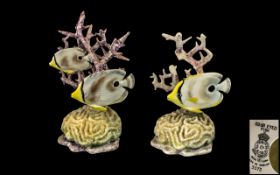 Royal Worcester Early and Superb Hand Painted Porcelain Pair of Tropical Fish Figures Signed by R.