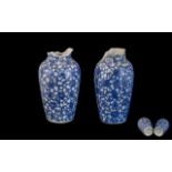 Antique Chinese Vases Blue & White, comprising: Two Chinese vases of similar form, both have