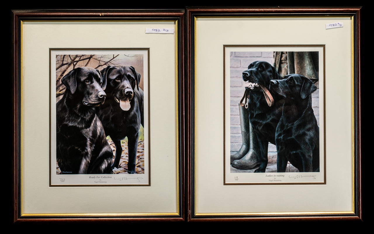 Two Signed Limited Edition Prints of Black Labradors. 1. 'Ladies in Waiting' with two black