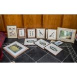 Mixed Selection of ( 13 ) Glazed and Framed Prints, Animals and Fish, Golfing Interest, Birds of