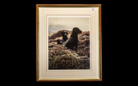 Signed Limited Edition Print of Three Black Labradors amongst Heather 'Return of the Three