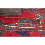 Collection of Antique Walking Sticks ( 5 ) In Total. To Include Horn, Zulu Stick, Silver Topped,