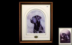 Two Limited Edition Signed Prints of Black Labradors. 1.