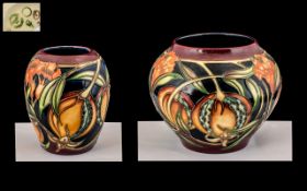 Moorcroft - Modern Tubelined Vases ( 2 ) Both Vases are of the ' Plevriana ' Design.