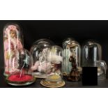 Collection of Various Glass Domes and Stands, seven 12", 13" 14" and 20" tall, and two smaller,