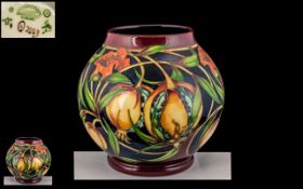Moorcroft - Modern Tubelined Vase of Swollen Ovoid Form ' Plevriana ' Design.