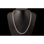 Fresh Water Pearl Necklace with a 9ct gold clasp, the pearls of good colour and proportion; 18