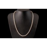 Fresh Water Pearl Necklace with a 9ct go