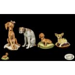 A Collection of Hand Painted Ceramic Dog Figures of Small Size ( 4 ) Figures In Total - Various