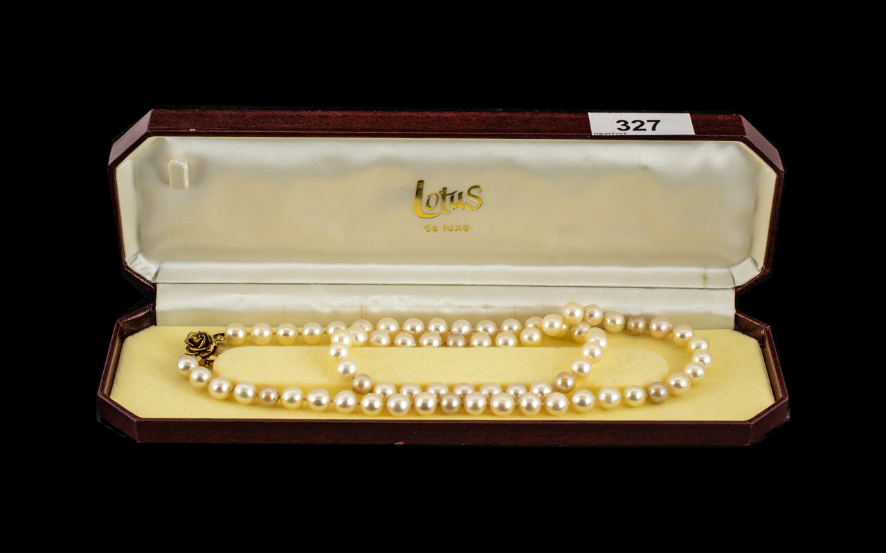 Cultured Pearl Necklace with 9ct Gold Cl