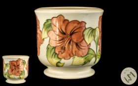 Moorcroft Tubelined Small Jardiniere ' Coral Hibiscus ' on Cream Ground. Signed Walter Moorcroft