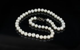 String of Large Fresh Water Pearls with silver clasp, 17 inches (app.42.