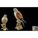 Beswick - Hand Painted Porcelain Bird Figure ' Kestrel ' Model No 2316. Designer Graham Tongue.